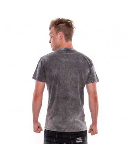 AEA Man's T-shirts   Birth of demon Arena Acero Grey 2