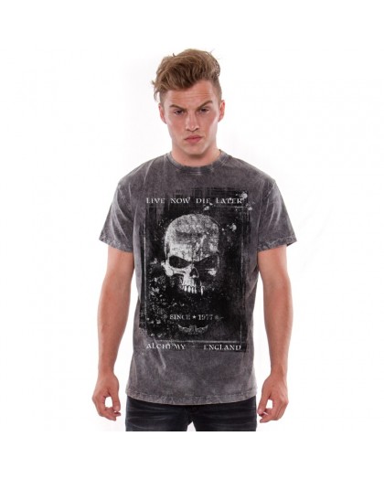 AEA Man's T-shirts   Birth of demon Arena Acero Grey