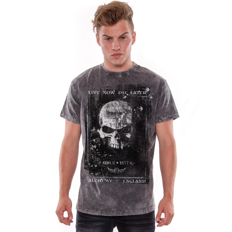 AEA Man's T-shirts   Birth of demon Arena Acero Grey