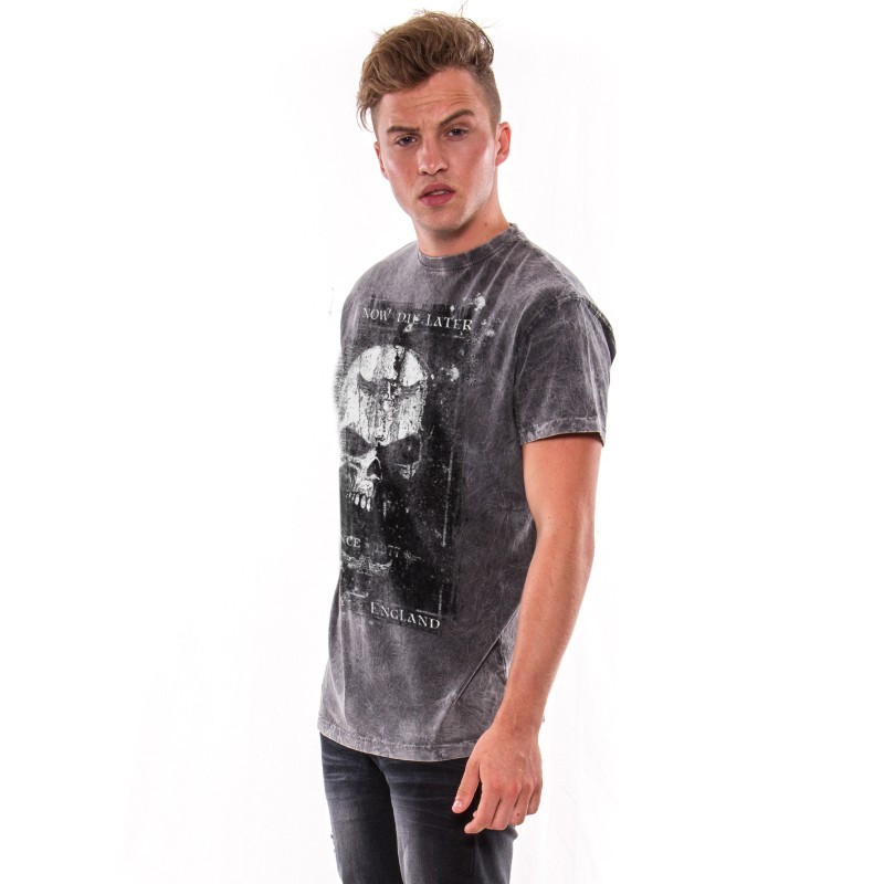 AEA Man's T-shirts   Birth of demon Arena Acero Grey AEA Man's T-shirts   Birth of demon Arena Acero Grey